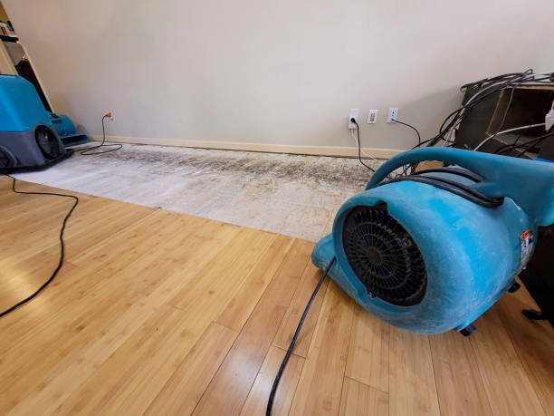 Professional Burst Pipe Water Damage technician working in Knife River, MN